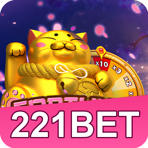 Verificação KYC 221bet